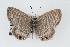 ( - CSU-CPG-LEP001204)  @14 [ ] CreativeCommons - Attribution (2009) Unspecified Unspecified