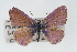  ( - CSU-CPG-LEP001208)  @13 [ ] CreativeCommons - Attribution (2009) Unspecified Unspecified