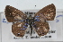  ( - CSU-CPG-LEP001221)  @13 [ ] CreativeCommons - Attribution (2009) Unspecified Unspecified
