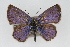  ( - CSU-CPG-LEP001223)  @13 [ ] CreativeCommons - Attribution (2009) Unspecified Unspecified