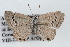  ( - CSU-CPG-LEP001224)  @13 [ ] CreativeCommons - Attribution (2009) Unspecified Unspecified