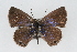  ( - CSU-CPG-LEP001225)  @13 [ ] CreativeCommons - Attribution (2009) Unspecified Unspecified