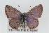  ( - CSU-CPG-LEP001226)  @13 [ ] CreativeCommons - Attribution (2009) Unspecified Unspecified
