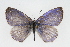  ( - CSU-CPG-LEP001237)  @14 [ ] CreativeCommons - Attribution (2009) Unspecified Unspecified