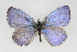  ( - CSU-CPG-LEP001244)  @14 [ ] CreativeCommons - Attribution (2009) Unspecified Unspecified