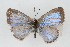  ( - CSU-CPG-LEP001246)  @13 [ ] CreativeCommons - Attribution (2009) Unspecified Unspecified