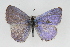  ( - CSU-CPG-LEP001247)  @14 [ ] CreativeCommons - Attribution (2009) Unspecified Unspecified