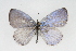  ( - CSU-CPG-LEP001251)  @13 [ ] CreativeCommons - Attribution (2009) Unspecified Unspecified