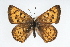  ( - CSU-CPG-LEP001257)  @13 [ ] CreativeCommons - Attribution (2009) Unspecified Unspecified