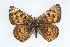  ( - CSU-CPG-LEP001258)  @13 [ ] CreativeCommons - Attribution (2009) Unspecified Unspecified