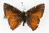  ( - CSU-CPG-LEP001301)  @12 [ ] CreativeCommons - Attribution (2009) Unspecified Unspecified