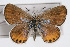  ( - CSU-CPG-LEP001365)  @13 [ ] CreativeCommons - Attribution (2009) Unspecified Unspecified