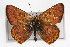  ( - CSU-CPG-LEP001425)  @13 [ ] CreativeCommons - Attribution (2009) Unspecified Unspecified