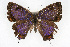  ( - CSU-CPG-LEP001453)  @11 [ ] CreativeCommons - Attribution (2009) Unspecified Unspecified