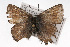  ( - CSU-CPG-LEP001458)  @13 [ ] CreativeCommons - Attribution (2009) Unspecified Unspecified