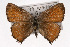  ( - CSU-CPG-LEP001460)  @13 [ ] CreativeCommons - Attribution (2009) Unspecified Unspecified