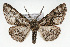  ( - CSU-CPG-LEP001573)  @11 [ ] CreativeCommons - Attribution (2009) Unspecified Unspecified