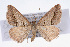  ( - CSU-CPG-LEP001598)  @14 [ ] CreativeCommons - Attribution (2009) Unspecified Unspecified