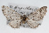  ( - CSU-CPG-LEP001664)  @12 [ ] CreativeCommons - Attribution (2009) Unspecified Unspecified