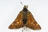  ( - CSU-CPG-LEP001695)  @13 [ ] CreativeCommons - Attribution (2009) Unspecified Unspecified
