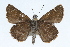  ( - CSU-CPG-LEP001735)  @13 [ ] CreativeCommons - Attribution (2009) Unspecified Unspecified