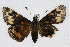  ( - CSU-CPG-LEP001761)  @13 [ ] CreativeCommons - Attribution (2009) Unspecified Unspecified