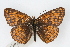  ( - CSU-CPG-LEP001885)  @13 [ ] CreativeCommons - Attribution (2009) Unspecified Unspecified