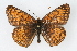  ( - CSU-CPG-LEP001886)  @14 [ ] CreativeCommons - Attribution (2009) Unspecified Unspecified