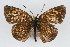  ( - CSU-CPG-LEP001898)  @13 [ ] CreativeCommons - Attribution (2009) Unspecified Unspecified