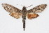  ( - CSU-CPG-LEP001981)  @13 [ ] CreativeCommons - Attribution (2009) Unspecified Colorado State University