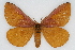  ( - CSU-CPG-LEP002241)  @13 [ ] CreativeCommons - Attribution (2009) Unspecified Colorado State University