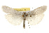 ( - CSUPOBK-0016)  @14 [ ] CreativeCommons - Attribution (2010) CBG Photography Group Centre for Biodiversity Genomics