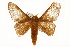  ( - CSUPOBK-0389)  @14 [ ] CreativeCommons - Attribution (2010) CBG Photography Group Centre for Biodiversity Genomics