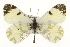  ( - CSUPOBK-0578)  @15 [ ] CreativeCommons - Attribution (2010) CBG Photography Group Centre for Biodiversity Genomics