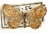  ( - CSUPOBK-0622)  @11 [ ] CreativeCommons - Attribution (2010) CBG Photography Group Centre for Biodiversity Genomics