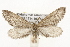  ( - CSUPOBK-1393)  @14 [ ] CreativeCommons - Attribution (2010) CBG Photography Group Centre for Biodiversity Genomics