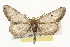  ( - CSUPOBK-1400)  @14 [ ] CreativeCommons - Attribution (2010) CBG Photography Group Centre for Biodiversity Genomics