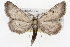  ( - CSUPOBK-1402)  @14 [ ] CreativeCommons - Attribution (2010) CBG Photography Group Centre for Biodiversity Genomics