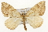  ( - CSUPOBK-1404)  @15 [ ] CreativeCommons - Attribution (2010) CBG Photography Group Centre for Biodiversity Genomics