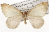  ( - CSUPOBK-1575)  @14 [ ] CreativeCommons - Attribution (2010) CBG Photography Group Centre for Biodiversity Genomics