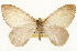  ( - CSUPOBK-1576)  @14 [ ] CreativeCommons - Attribution (2010) CBG Photography Group Centre for Biodiversity Genomics