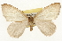  ( - CSUPOBK-1577)  @14 [ ] CreativeCommons - Attribution (2010) CBG Photography Group Centre for Biodiversity Genomics