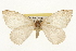  ( - CSUPOBK-1578)  @14 [ ] CreativeCommons - Attribution (2010) CBG Photography Group Centre for Biodiversity Genomics