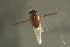  ( - 08ABMAY-0027)  @13 [ ] CreativeCommons - Attribution (2009) Unspecified Centre for Biodiversity Genomics
