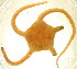  ( - 10BPBS-0009)  @13 [ ] CreativeCommons - Attribution  CBG Photography Group Centre for Biodiversity Genomics