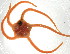  ( - 10BPBS-0042)  @14 [ ] CreativeCommons - Attribution  CBG Photography Group Centre for Biodiversity Genomics