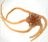  ( - 10BPBS-0045)  @13 [ ] CreativeCommons - Attribution  CBG Photography Group Centre for Biodiversity Genomics