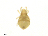  ( - RAM.TMS.M00022152)  @11 [ ] CreativeCommons - Attribution (2016) CBG Photography Group Centre for Biodiversity Genomics