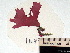  ( - GWS001649)  @11 [ ] CreativeCommons - Attribution Non-Commercial Share-Alike (2010) Unspecified University of New Brunswick