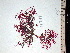  ( - GWS004242)  @13 [ ] CreativeCommons - Attribution Non-Commercial Share-Alike (2010) Unspecified University of New Brunswick